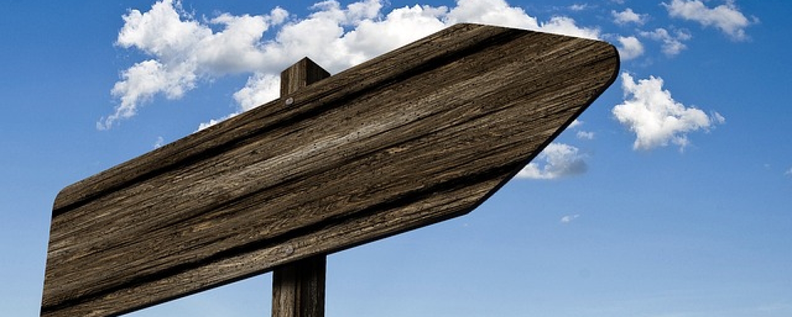 Kennzeichnung von ätherischen Ölen und Duftkompositionen 